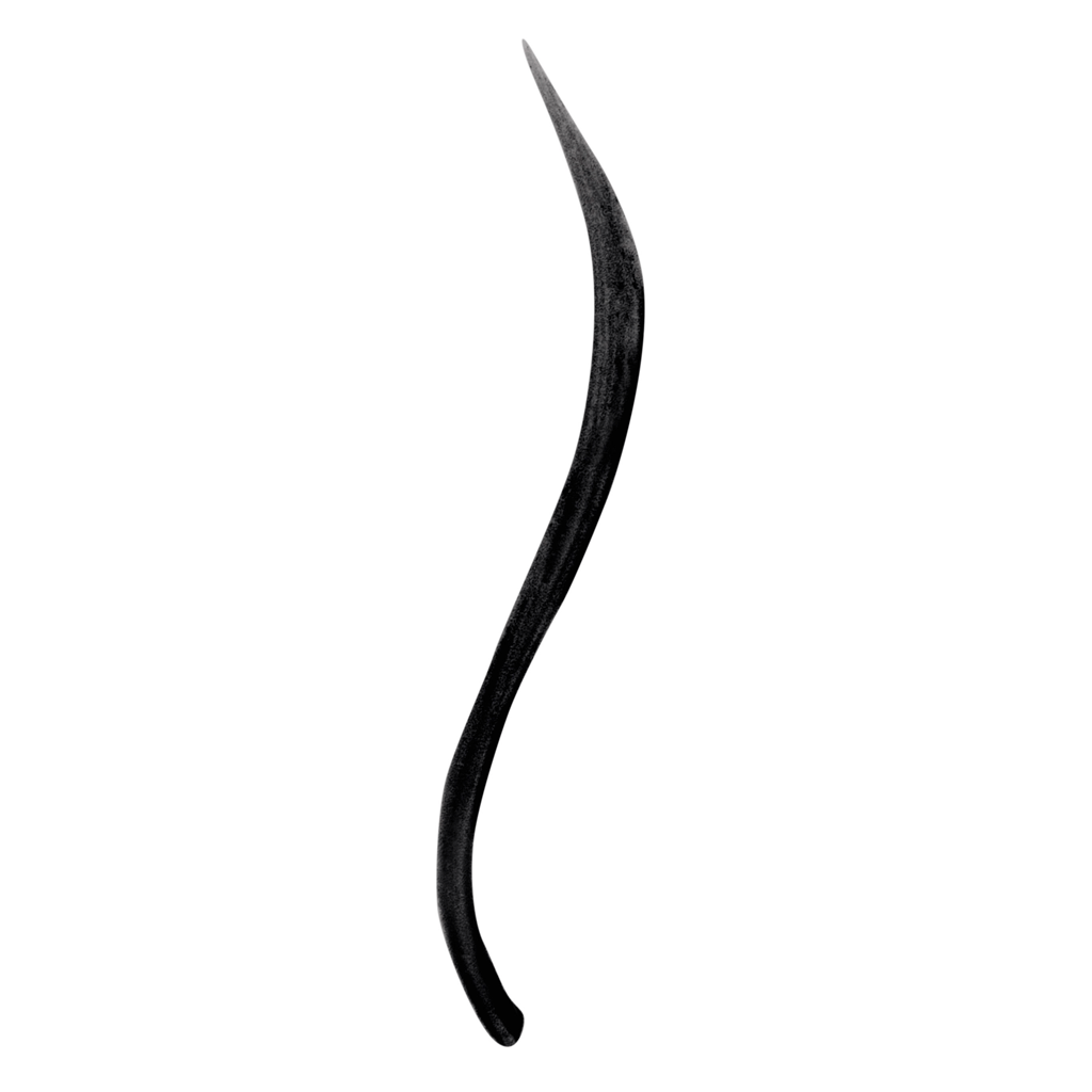JANEIREDALE - LIQUID EYELINER BLACK - MyVaniteeCase