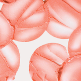 MILK MAKEUP - GLOW OIL LIP + CHEEK (FLARE) - MyVaniteeCase