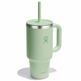 HYDRO FLASK - 32 OZ ALL AROUND TRAVEL TUMBLER-ALOE