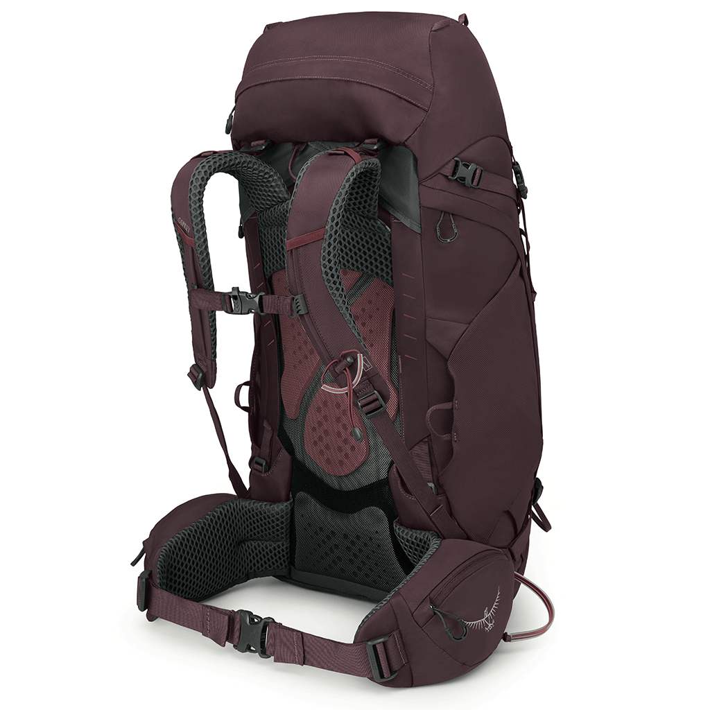 vOSPREY - KYTE 48 ELDERBERRY PURPLE WM/L